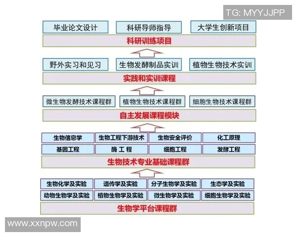 红牛系足球全球网络与人才培养体系的创新与发展探索